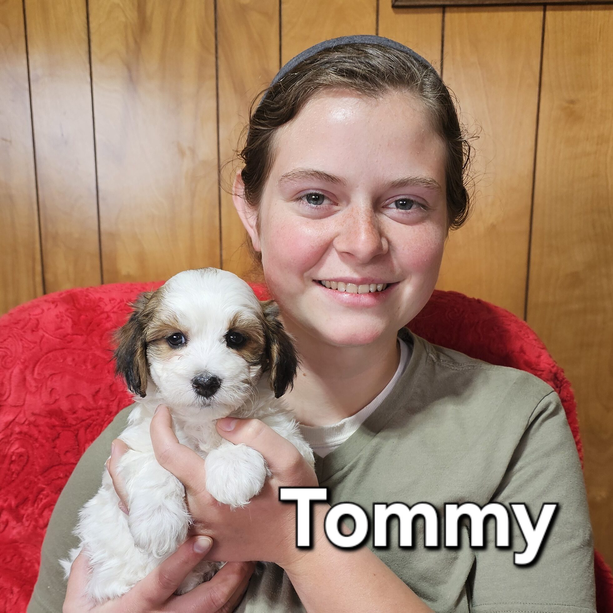 Tommy-Available