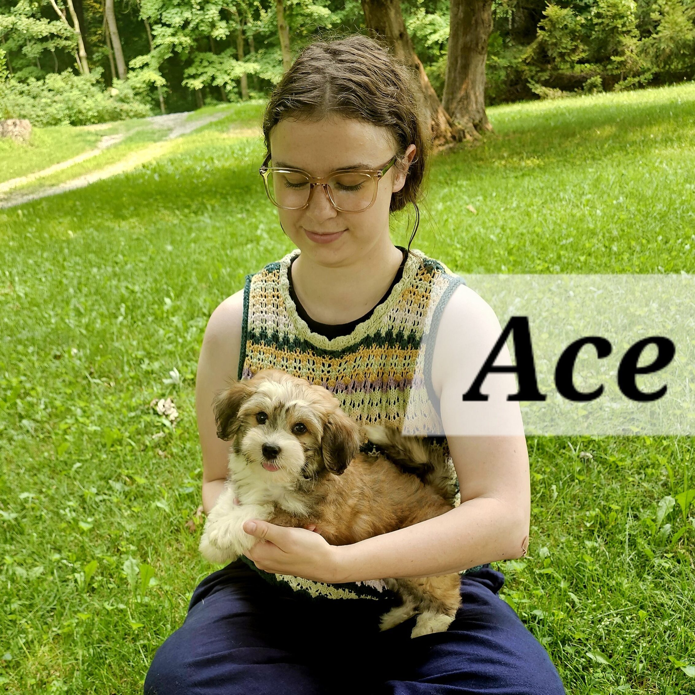 20260716_144941
